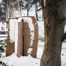Konsten i Baggeby